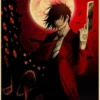S9dd72f60211440c2bc70aa831acc7b3bV - Hellsing Merch