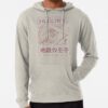 ssrcolightweight hoodiemensoatmeal heatherfrontsquare productx1000 bgf8f8f8 8 - Hellsing Merch